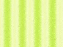 05001-111.jpg