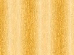 05019-064.jpg