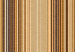 07995-010.jpg