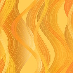 28070_024.jpg